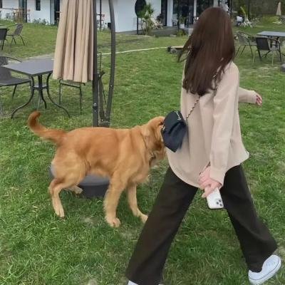 校花的超级保镖之无极诀